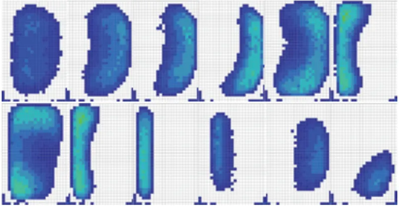 3C Chip Drop Pressure Distribution Test Program1